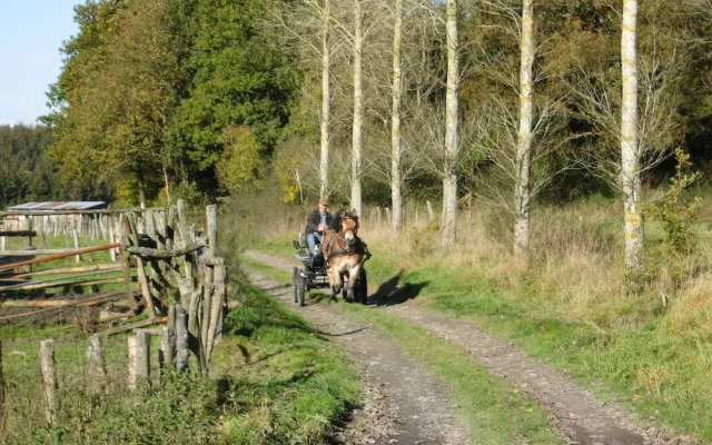 Lively Holiday Home With Garden, Barbecue, Garden Furniture