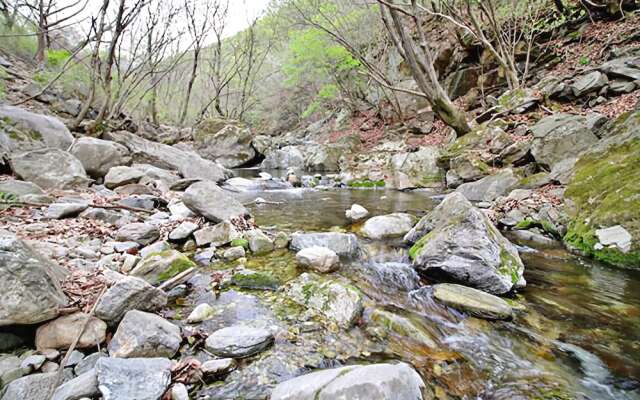 Yangpyeong Plus Pension