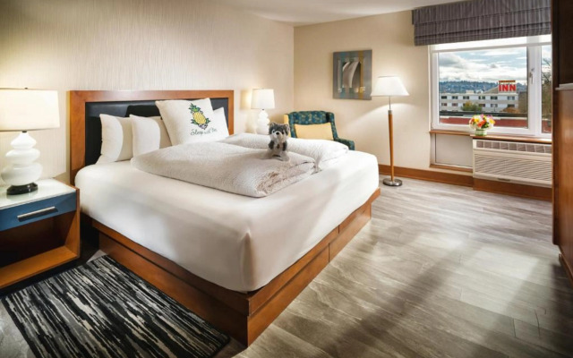 Staypineapple, Watertown Hotel, University District Seattle