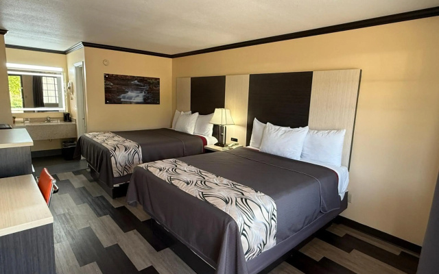 Regency 7 Motel