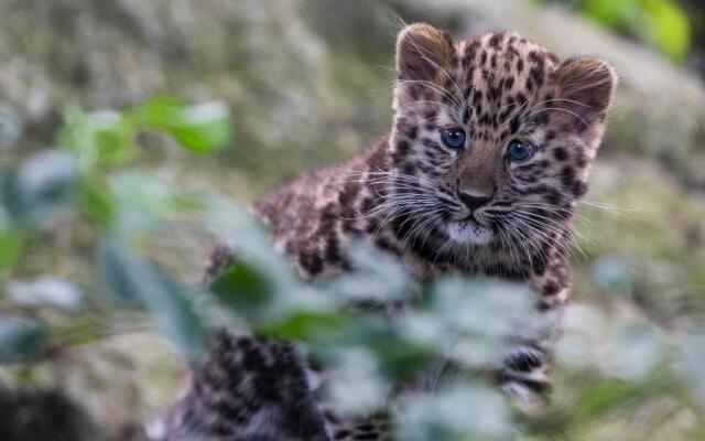 voco Winchester Hotel & Spa by IHG