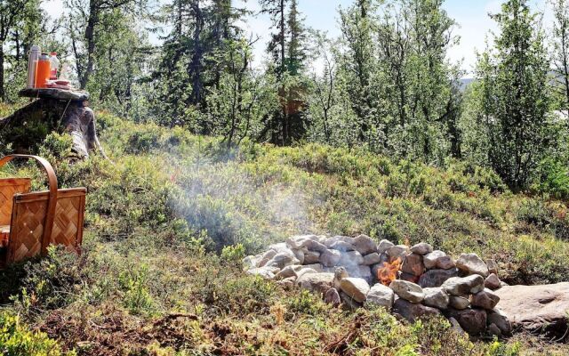 4 Person Holiday Home in Funäsdalen