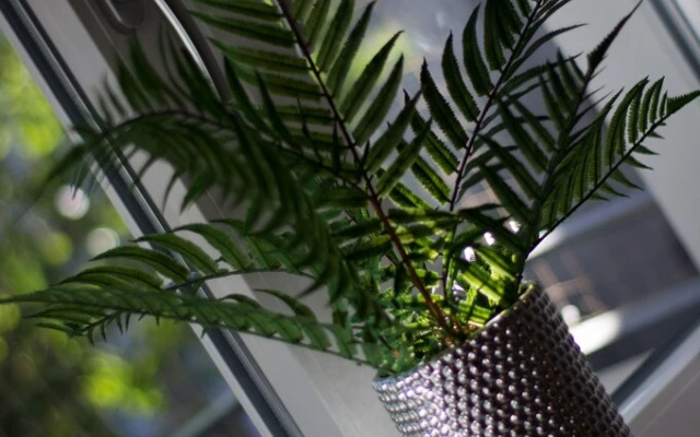 The Warsaw Rising Museum Apartments