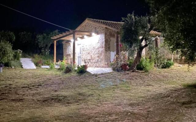 Anna Studios