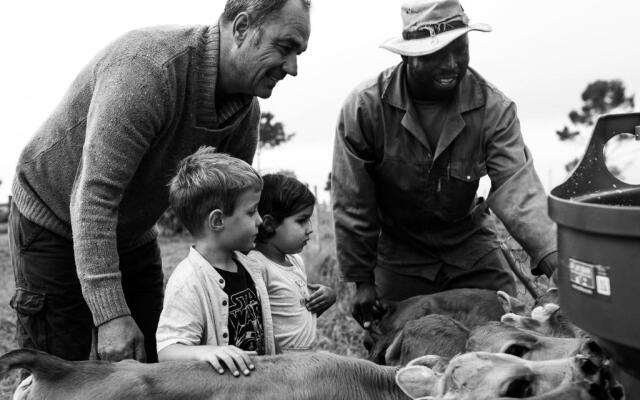 Oakhurst Farm Cottages