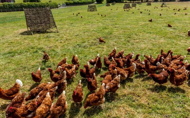 Woodmans Cottage @ Nables Farm