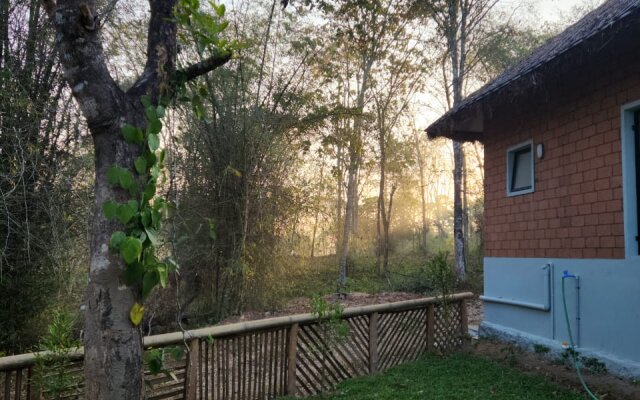 Arippa Eco Tourism-Stay Inside Forest