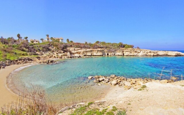 Greta Paralimni in Paralimni