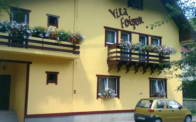 Vila Foisor