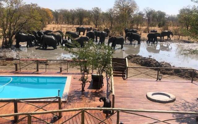 Chobe Mopani Forest Lodge & Camp site