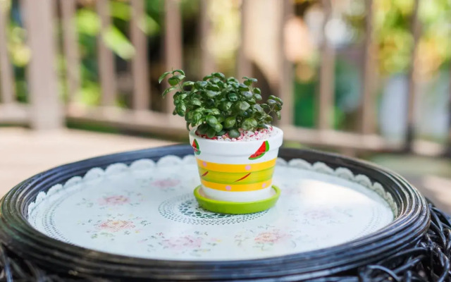 Diamond Park Inn Chiang Rai Resort