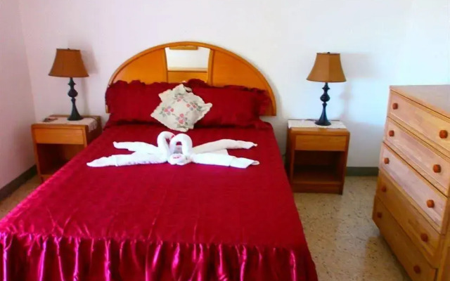 Palm View Guesthouse and Conference Centre