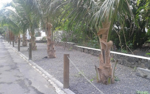 Dodola Lodge