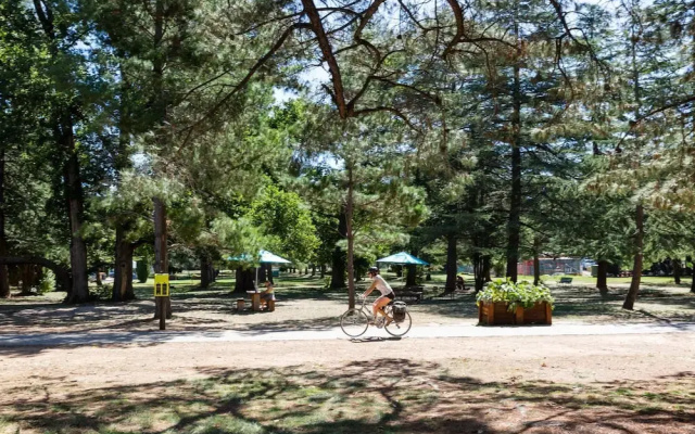 Braddon Studio: Parking & BBQ
