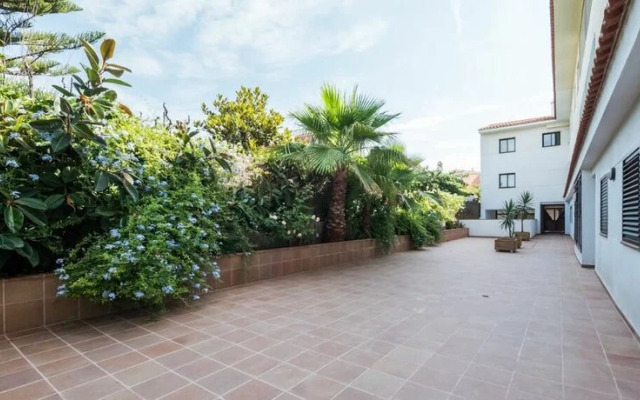 Beatrix 2000 - Caliu Apartments