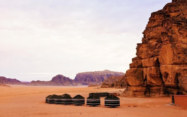 Desert Bird Camp