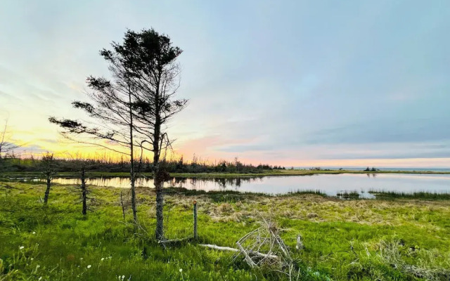 Skyline Terrace Cottages