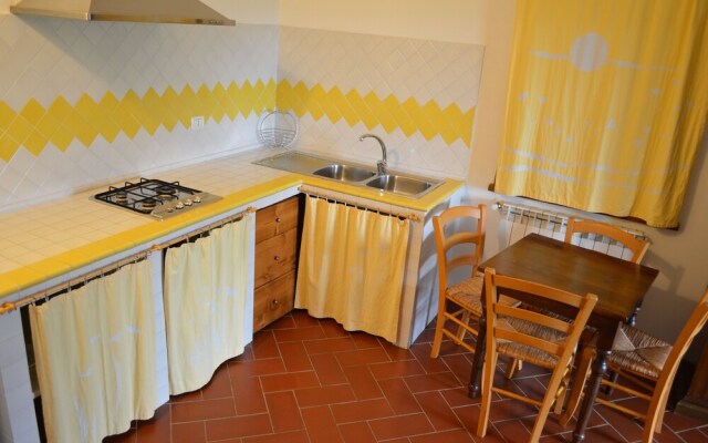 Il Girasole Terzuolo