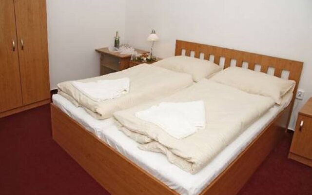 Hotel Allvet