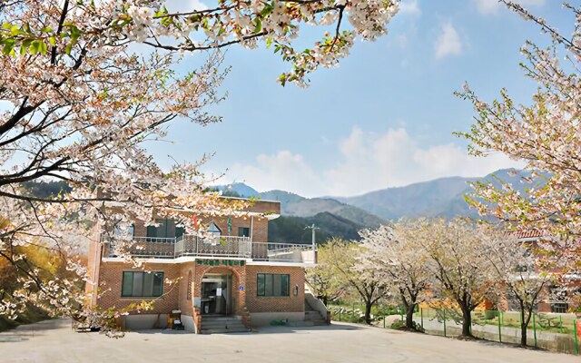 Yeongju Pusoksa Maple Road Pension