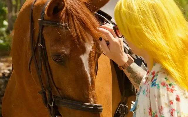 Toca dos Lobos - Ecological Cabin