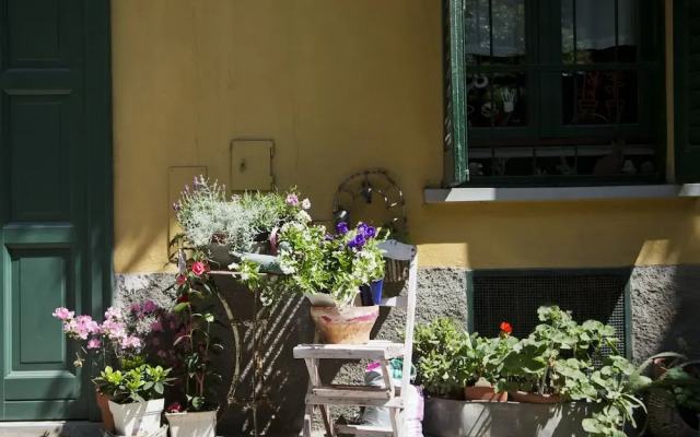 JOIVY Bohèmien District