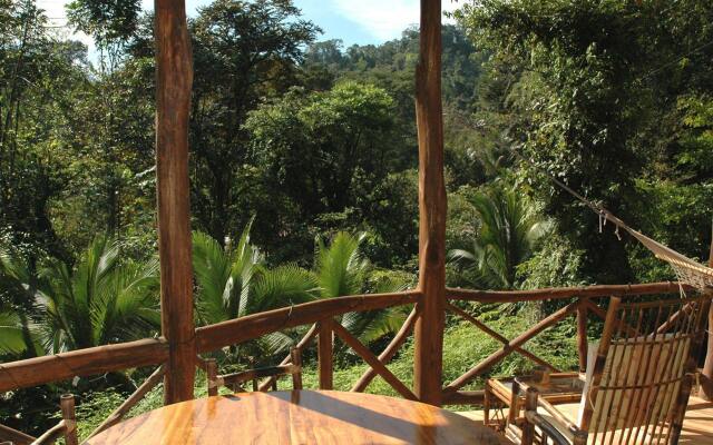 Esquinas Rainforest Lodge