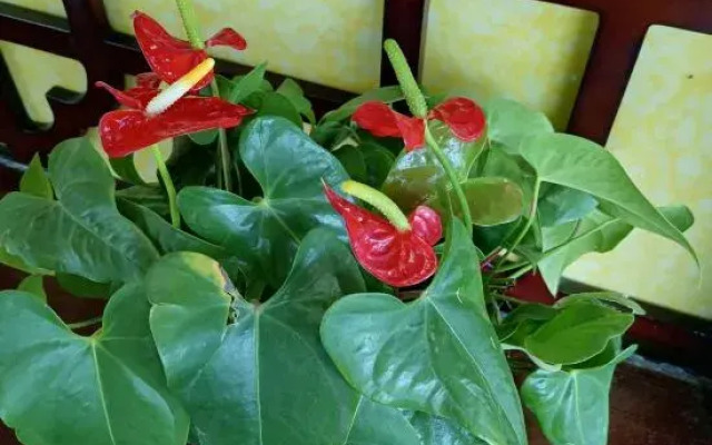 Yiyang Hotel (Yiling Wanda Plaza, Yichang Three Gorges Enterprise Base)