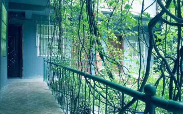 Zhumadian street guest hotel