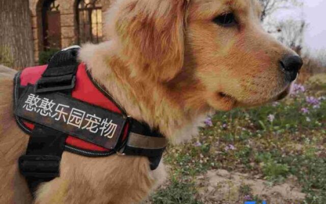 Guanzhong Yuansu Hotel (Liquan Yuanjia Village)