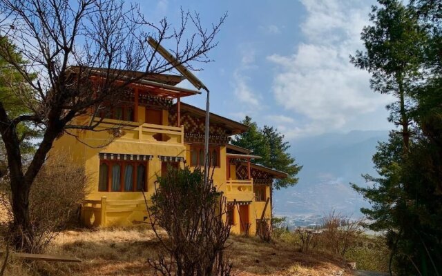 Dzi Pema