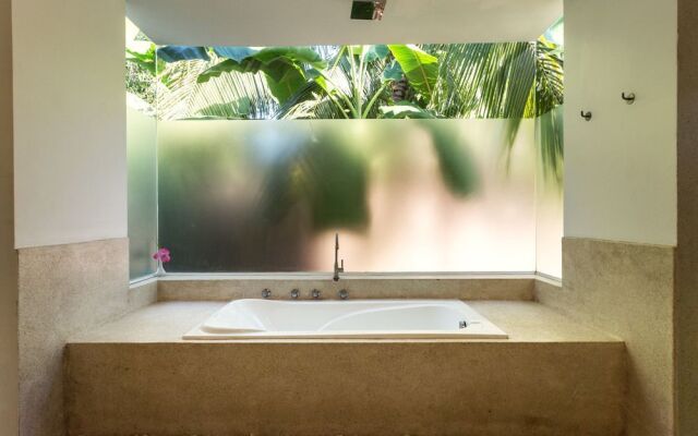 Tropic Jungle Boutique Hotel