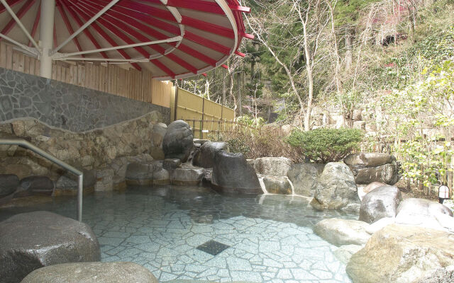 Ooedo Onsen Monogatari Gero Bekkan