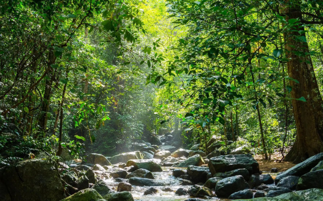 Sammuk Resort