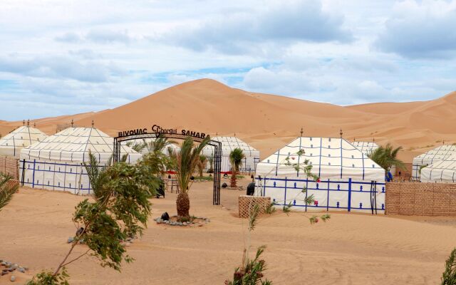 Bivouac Chergui Sahara