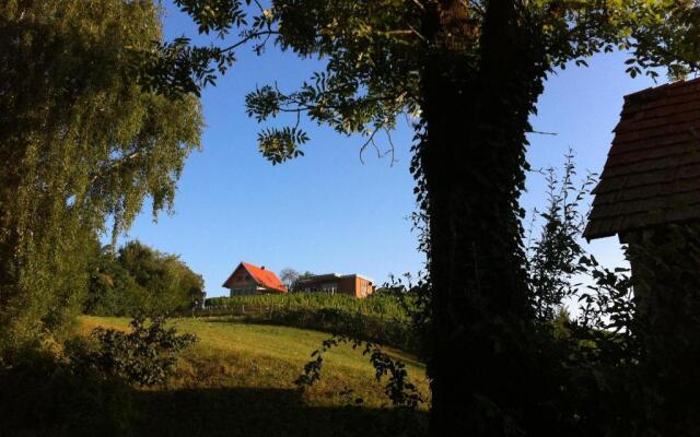 Ferienhäuser im Weingarten