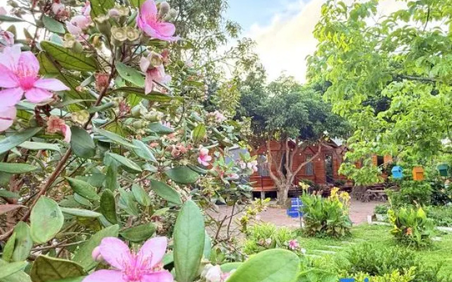 Cô Tô Homestay 368 – Outside – Co To