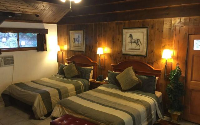 Arrowhead Tree Top Lodge