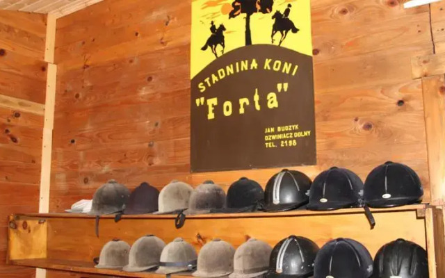 Forta nie tylko stadnina