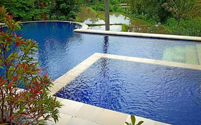 Lotus Guesthouse Sudaji