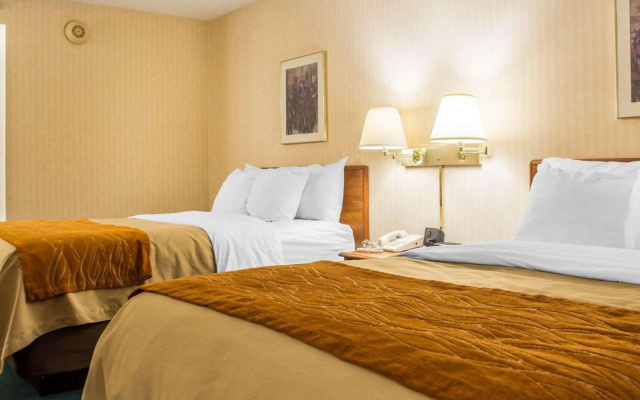 Comfort Inn Binghamton I-81