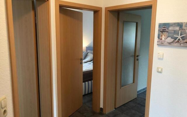 Strandmuschel - a05355