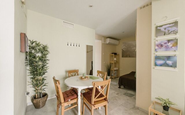 Sevilla Apartments Ruiz