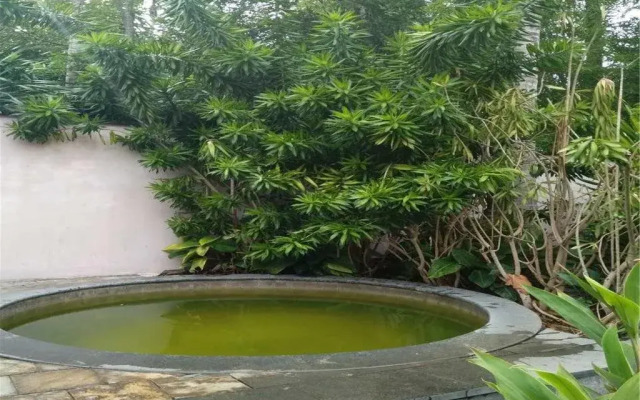 Sanya Little Fish Hot Spring Hotel