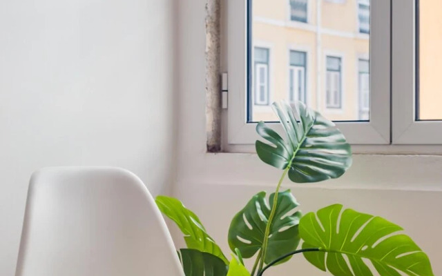 LX Urban Living