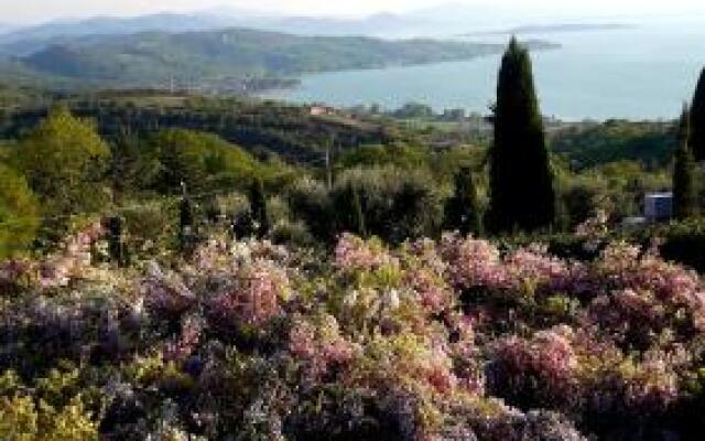 Villa La Moraiola