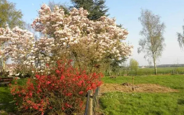 B&B Artiriacumhoeve