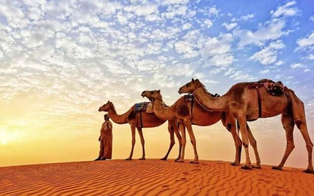 Alsarmadi Desert Camp