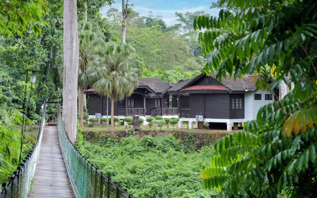 Hotel O Asiacamp Resort National Park Kuala Tahan