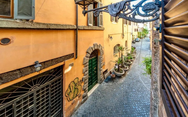 Magenta Deluxe Cappellari 97